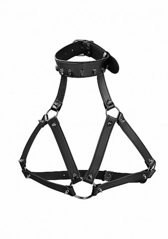 Ladies Skulls and Bones Harness with Skulls and Spikes Black Bonded Leather